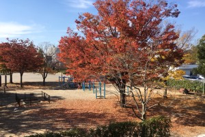 F7F9F328-D008-44B5-916D-4E11307685E8