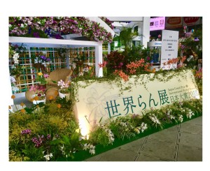 0666B42A-82F5-4EB9-97C0-C27C55DE991A