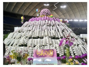 168D91F5-5586-4D9D-A85D-E5B61876E6C1