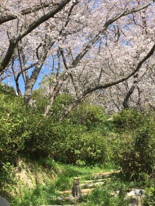 6C3B3AA6-246C-477F-8FA5-D3CB89FD0868