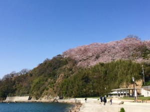 C51FC37F-97A7-4812-B18E-09BA3085C548