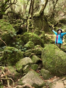 D36780D8-7D0C-4B8F-B74D-EE91894C53DB