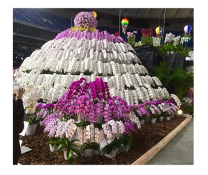 EE6F3050-D9F9-46CA-89C2-411801FFE442