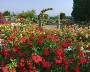 3867C2B4-2427-4C85-9BC3-4479D7B6F6F5