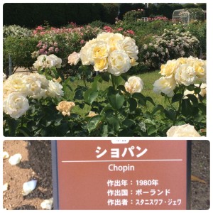 A7094766-5588-44E7-B961-39DD4FC55E12