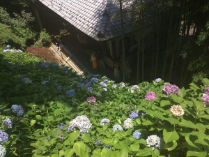 2B15EBC0-E6B2-41FE-B9E9-7E340B71CD57