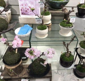 406DDE1F-BF6E-430E-88EC-0D5A60A776A4