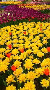 AF4E0EF1-8F7C-4CFE-9223-9DD5CCBCA215